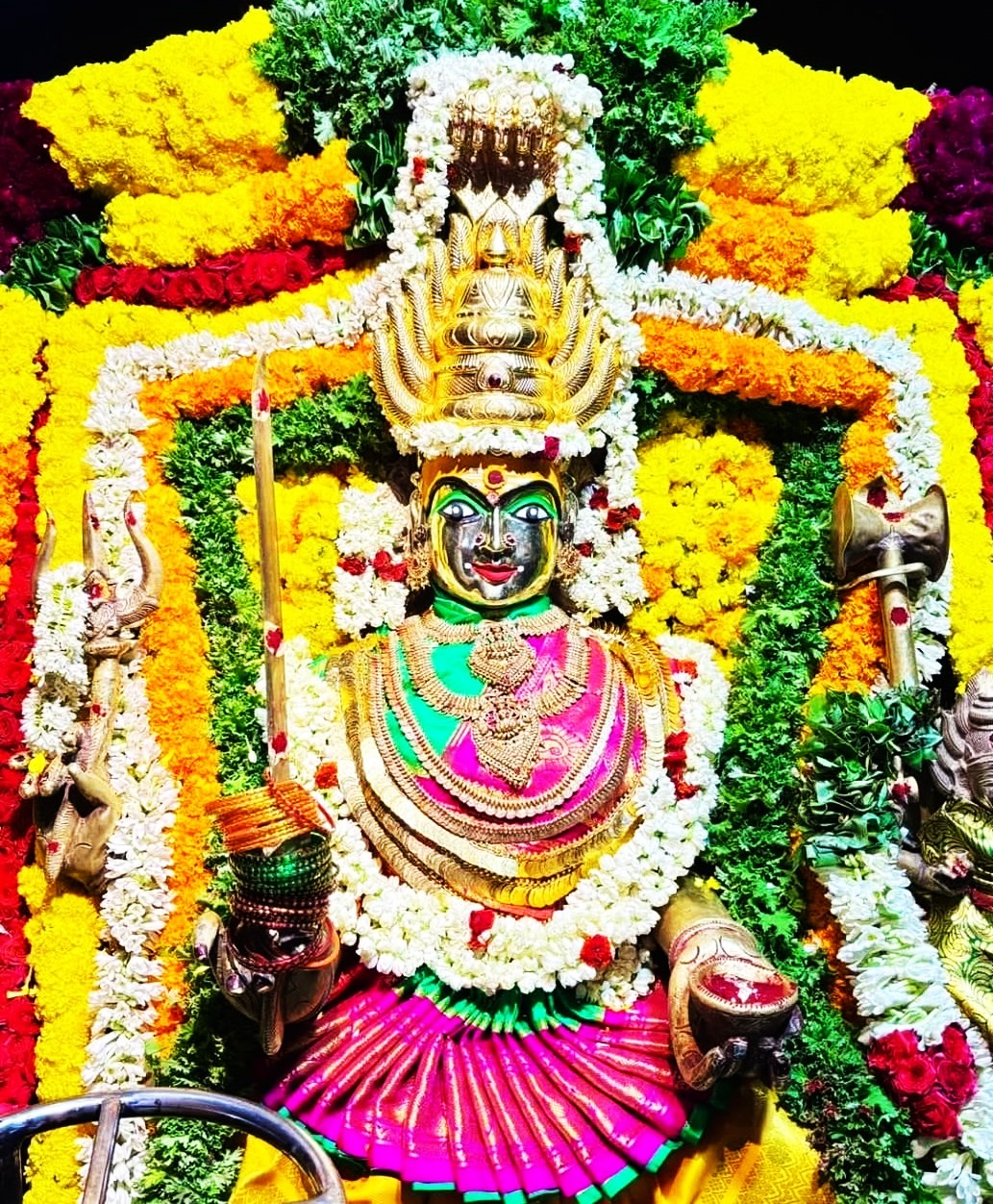 வாணியம்பாடி அடுத்த புத்துக் கோயிலில் அம்மனின் ஆடி முதல் வெள்ளி அலங்காரம்