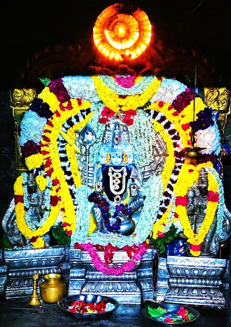 வள்ளிமலை ஸ்ரீ சுப்பிரமணியசுவாமி கோயிலில் ஆடி பரணி அலங்காரம்